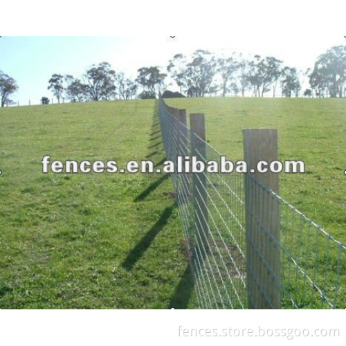 Beautiful and security animal fence